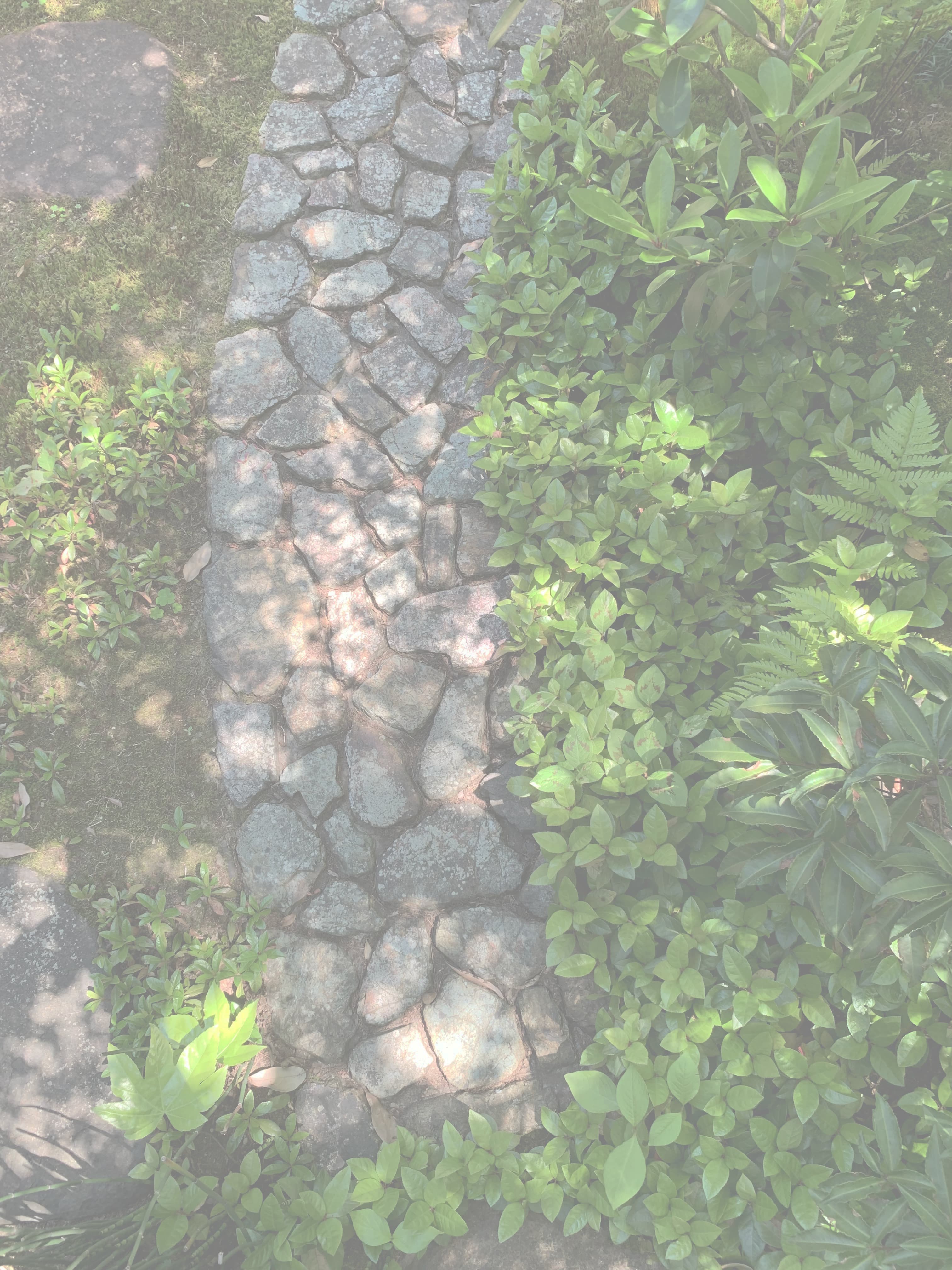 お知らせトップ画像